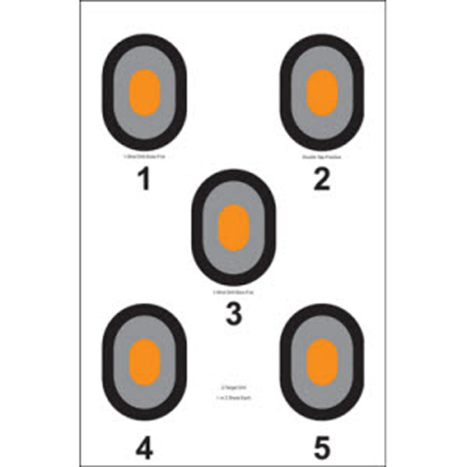 Action Target 5 Bull'sEye Target w/ Orange Centers