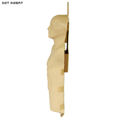 3D Torso Shell Target - Life Size Torso Target by Action Target