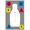 Multi-Purpose Anatomy and Command Training Target