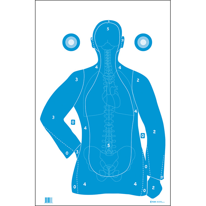 INDEX-CIT Crucible Target w/Vital Organs & Spine 24" x 42" 5 targets 