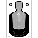 Anatomy Targets  Anatomy Shooting Targets by Action Target